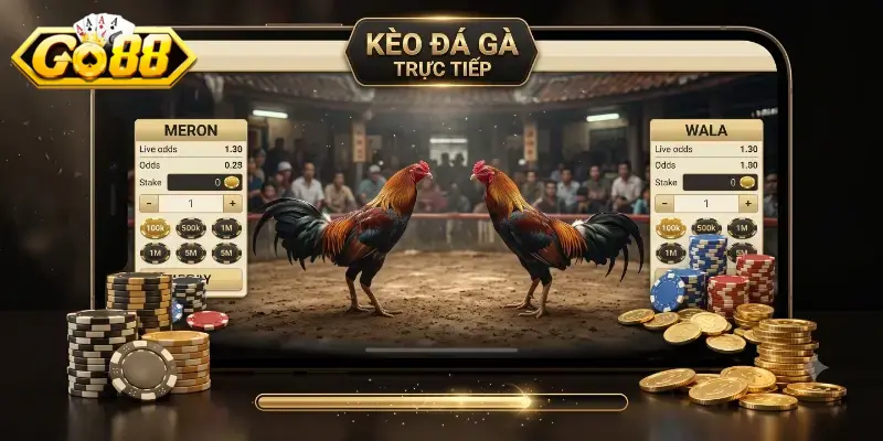 Kèo đá gà trực tiếp Go88 trải nghiệm cực đã, cược hấp dẫn từng phút