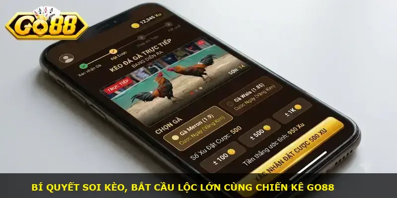 Kèo đá gà trực tiếp GO88 - ảnh 3